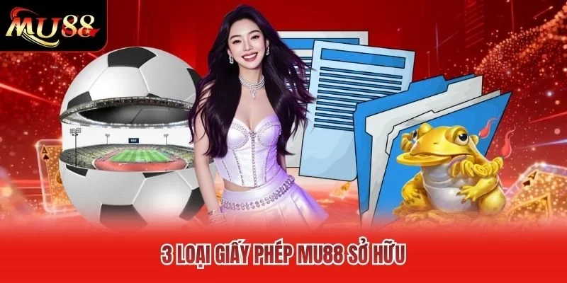 3 loại giấy phép MU88 sở hữu 3 loại giấy phép MU88 sở hữu
