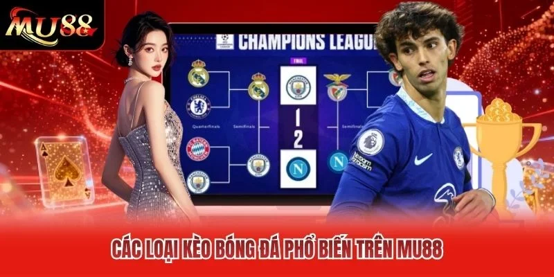Các loại kèo bóng đá phổ biến trên MU88 Các loại kèo bóng đá phổ biến trên MU88