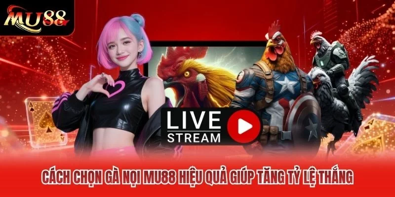 Cách Chọn Gà Nọi MU88 Hiệu Quả Giúp Tăng Tỷ Lệ Thắng