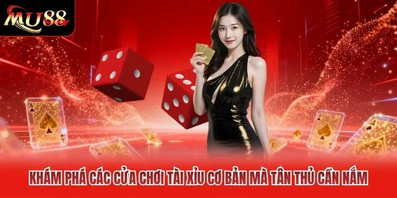 Khám phá các cửa chơi Tài Xỉu cơ bản mà tân thủ cần nắm