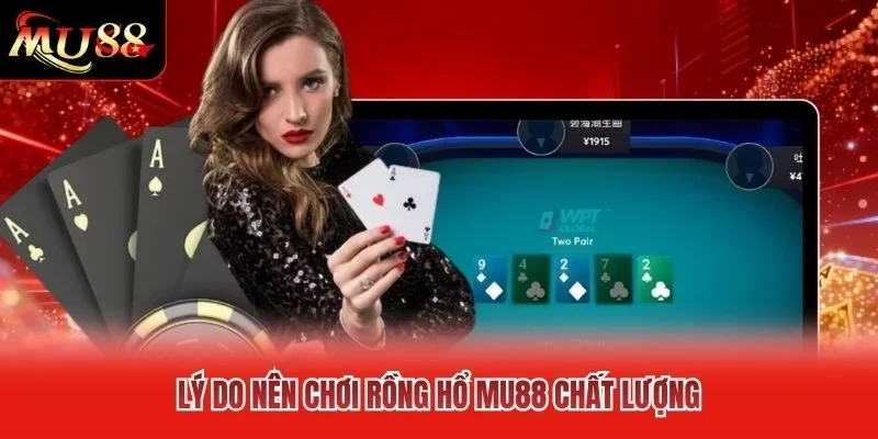 Lý do nên chơi Rồng Hổ MU88 chất lượng