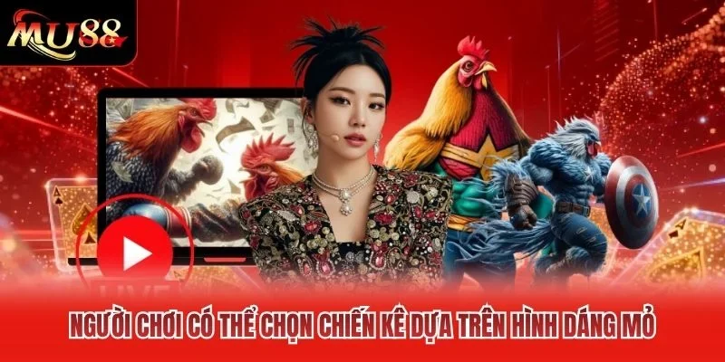 Người chơi có thể chọn chiến kê dựa trên hình dáng mỏ Người chơi có thể chọn chiến kê dựa trên hình dáng mỏ