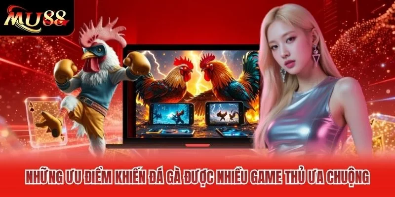 Những ưu điểm khiến đá gà được nhiều game thủ ưa chuộng Những ưu điểm khiến đá gà được nhiều game thủ ưa chuộng